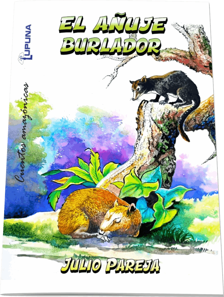 Portada de El añuje burlador