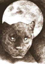 Yanapuma - Imagen 3